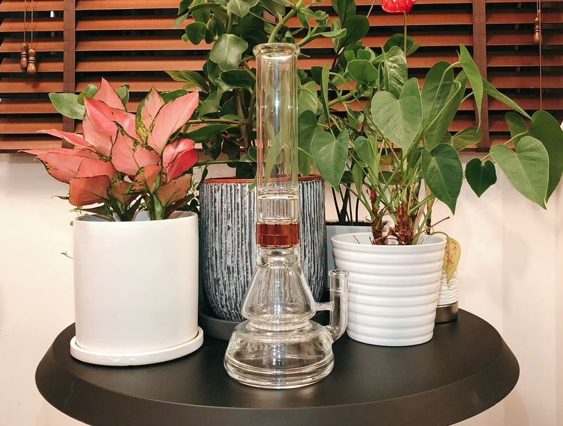 Break-Resistant Glass Bongs: The Durable Choice for Enthusiasts